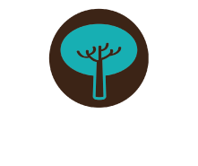 Meio ambiente