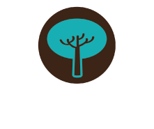 Guia de turismo