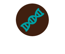 Icones biologia